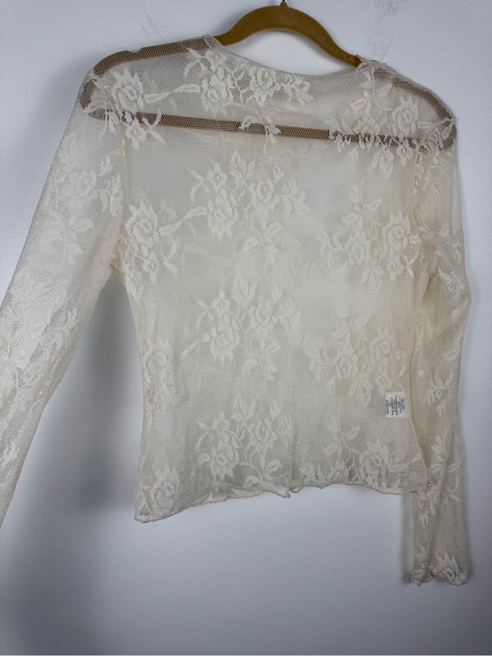 Sheer Floral Lace Long-Sleeve Blouse in Cream